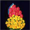 Magical Moonlight - Click here to View more details about this Product